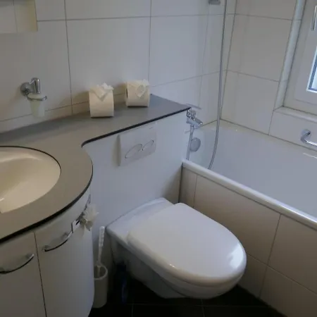 Wyssefluh By Interhome Apartment *