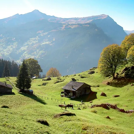 Wyssefluh By Interhome * Grindelwald