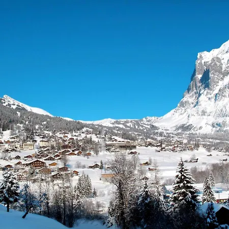 Wyssefluh By Interhome Grindelwald