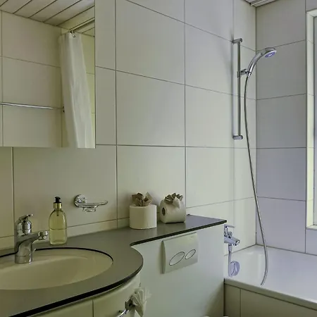 Wyssefluh By Interhome