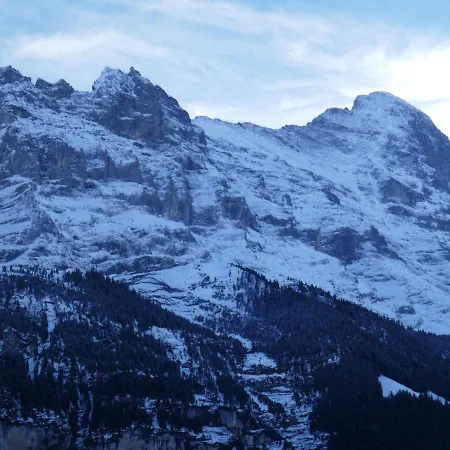 Wyssefluh By Interhome