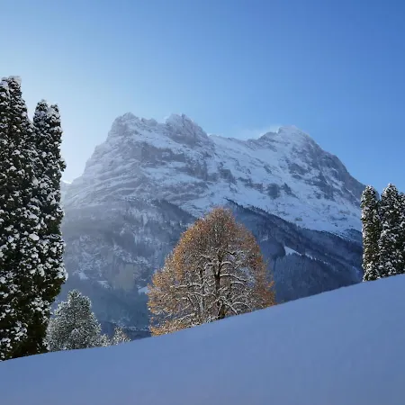 公寓 Wyssefluh By Interhome