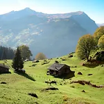 Wyssefluh By Interhome * Grindelwald