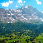 Lejlighed Wyssefluh By Interhome Grindelwald