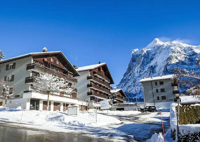 Wyssefluh By Interhome Apartment Grindelwald